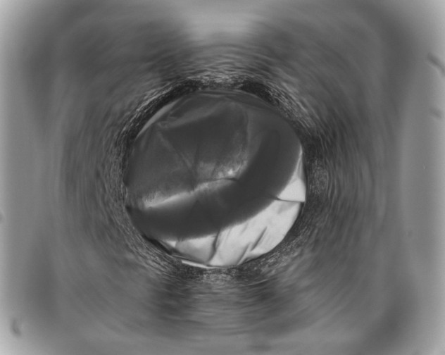 X0000096401297200802141509