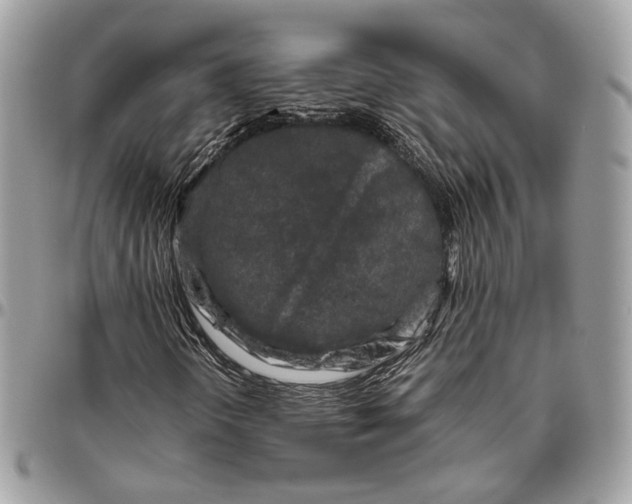 X0000096401298200802141509