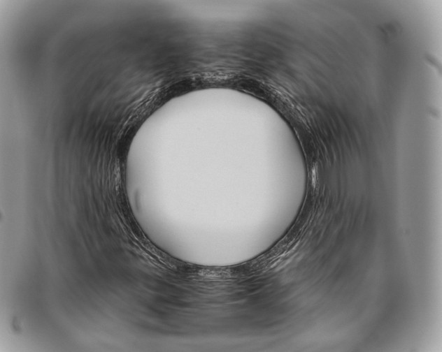 X0000096401299200802141509