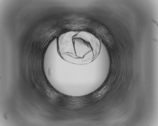 X0000096401300200802141509