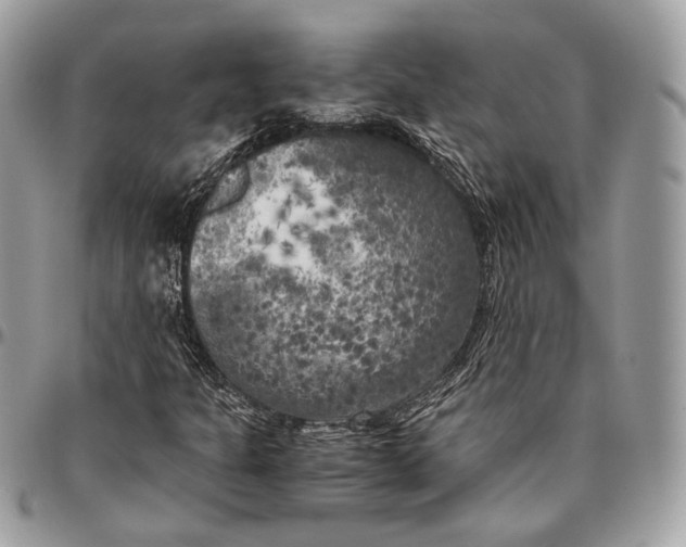 X0000096401301200802141509