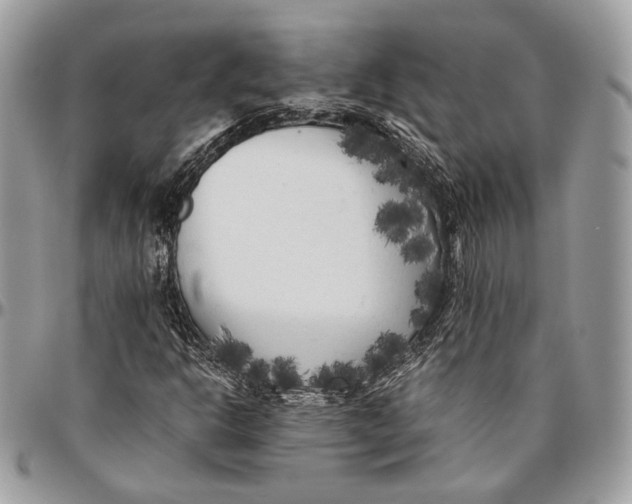 X0000096401302200802141509