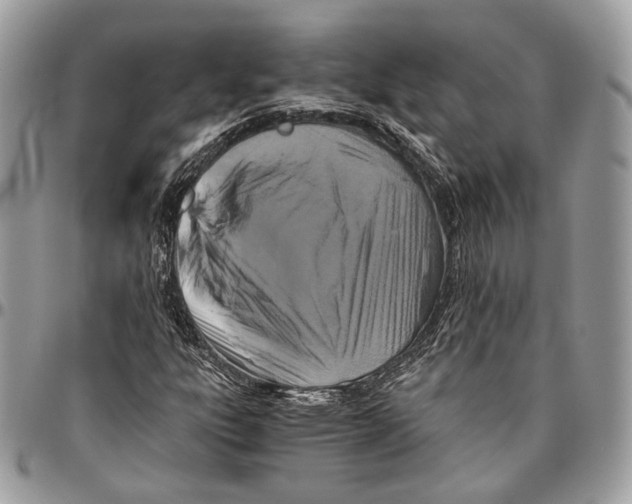 X0000096401303200802141509