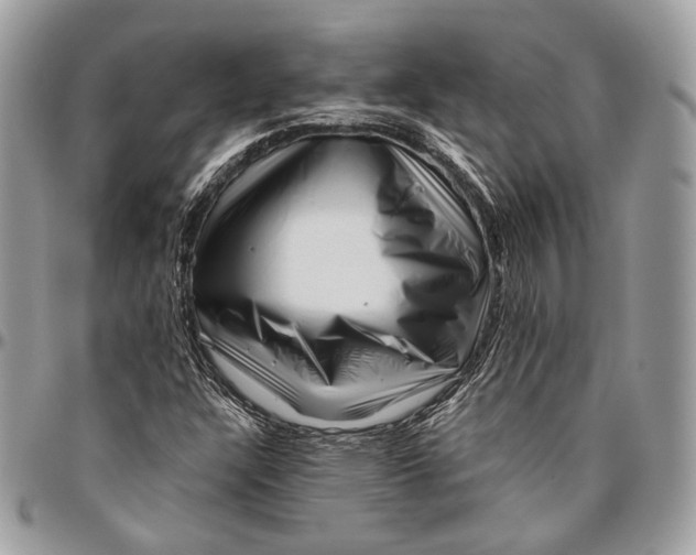 X0000096401304200802141509