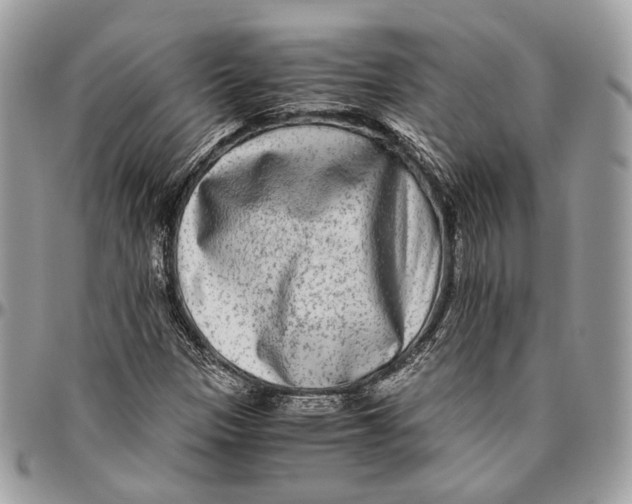 X0000096401305200802141509