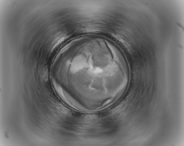 X0000096401306200802141509