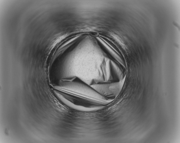 X0000096401308200802141509