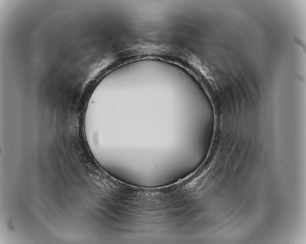 X0000096401309200802141509