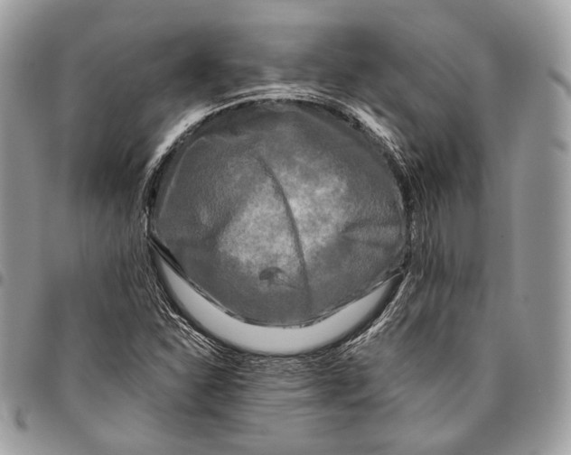 X0000096401310200802141509