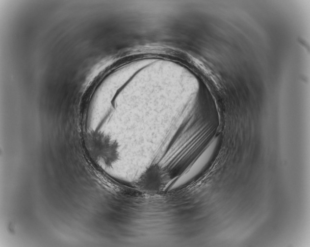 X0000096401312200802141509