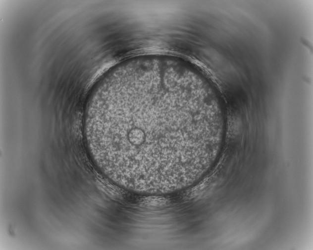 X0000096401314200802141509