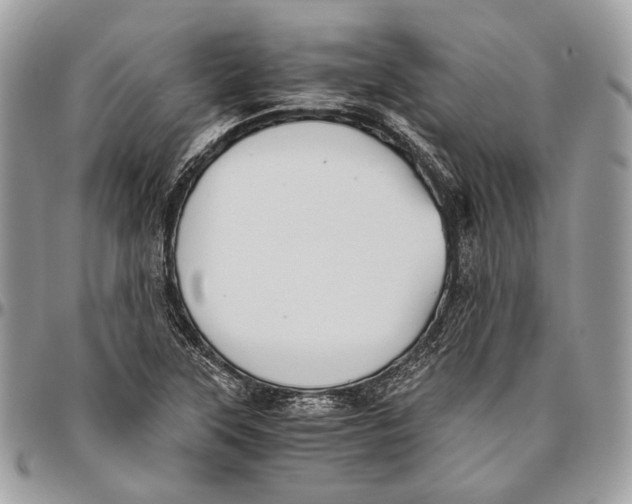 X0000096401315200802141509