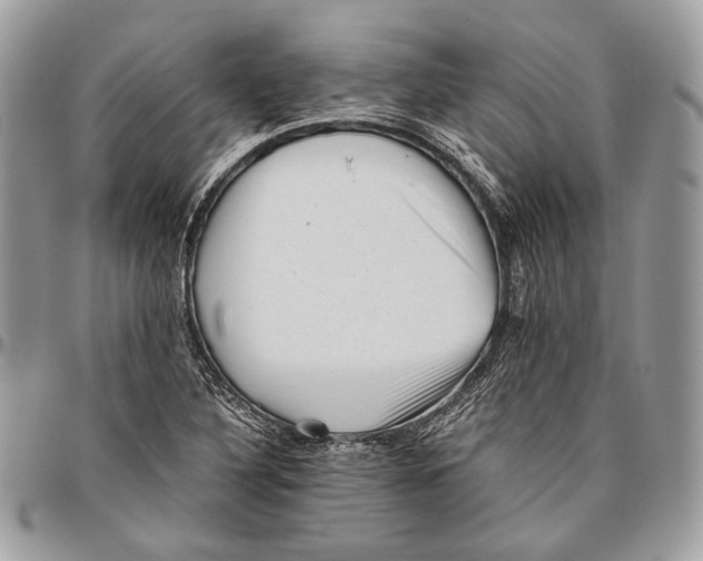 X0000096401316200802141509