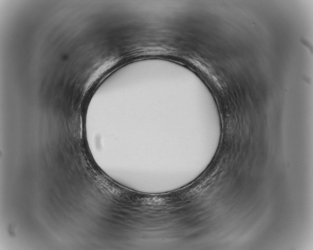 X0000096401317200802141509