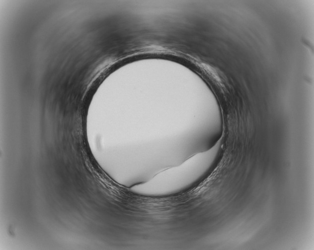 X0000096401318200802141509