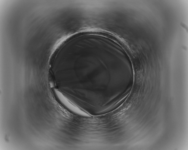 X0000096401319200802141509