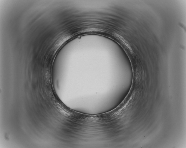 X0000096401321200802141509