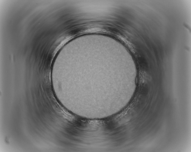 X0000096401322200802141509