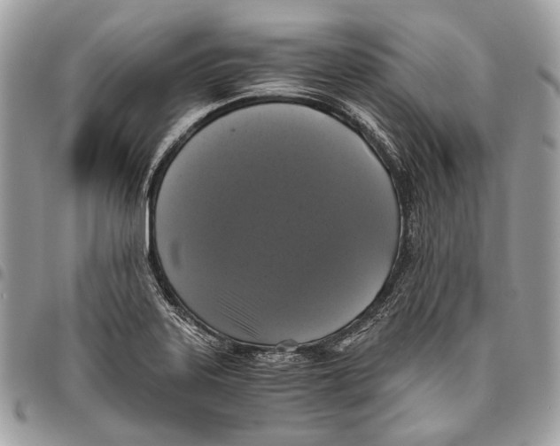 X0000096401323200802141509