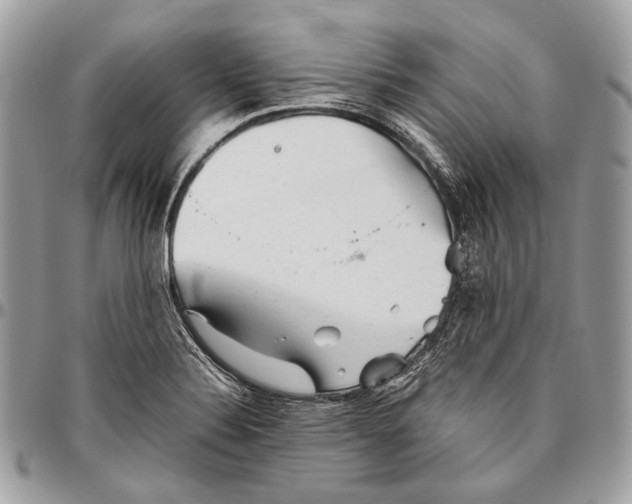 X0000096401324200802141509