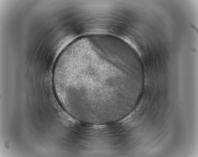 X0000096401325200802141509