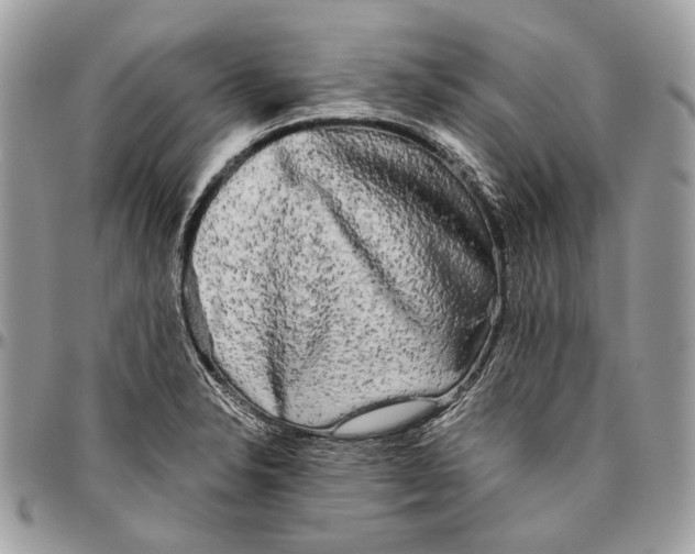 X0000096401326200802141509