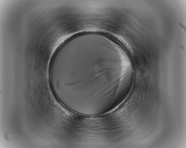 X0000096401327200802141509