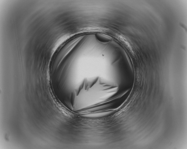 X0000096401328200802141509