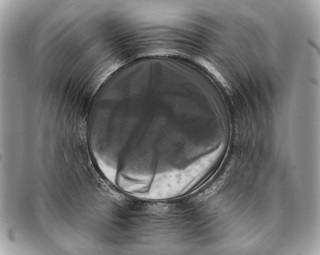 X0000096401329200802141509