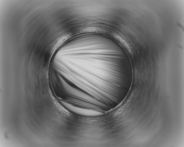 X0000096401330200802141509