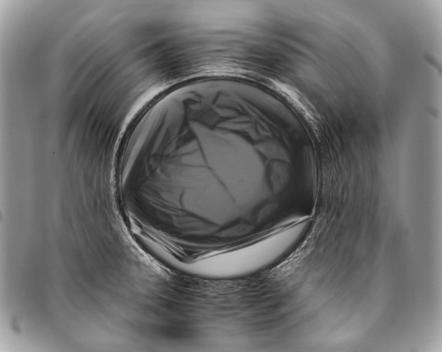 X0000096401331200802141509