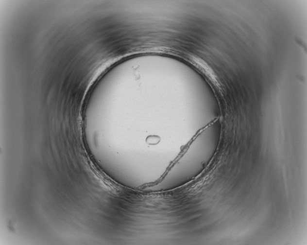 X0000096401332200802141509