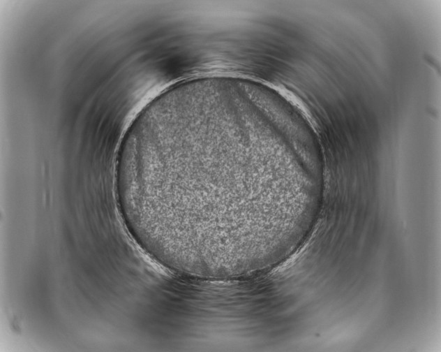 X0000096401333200802141509