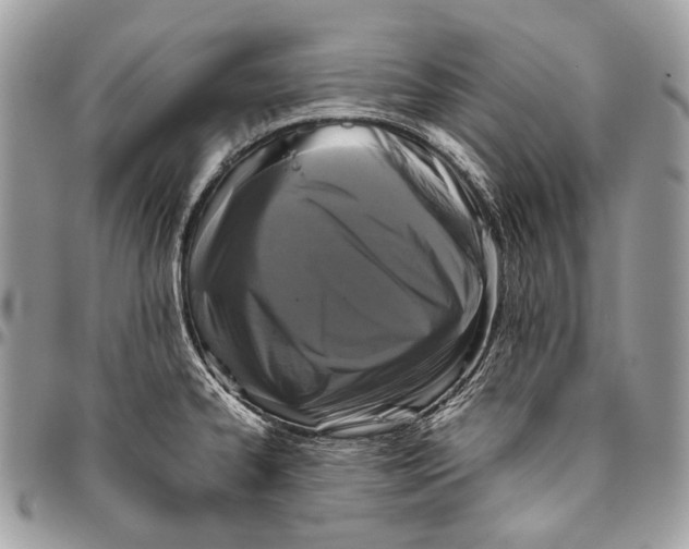 X0000096401334200802141509