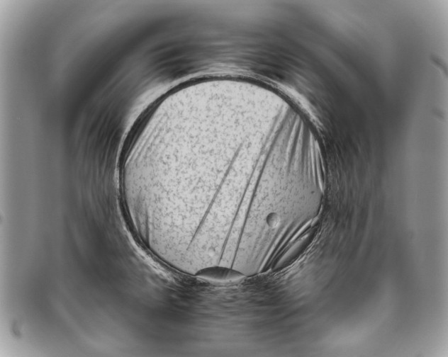 X0000096401335200802141509