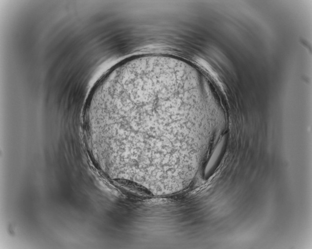 X0000096401336200802141509