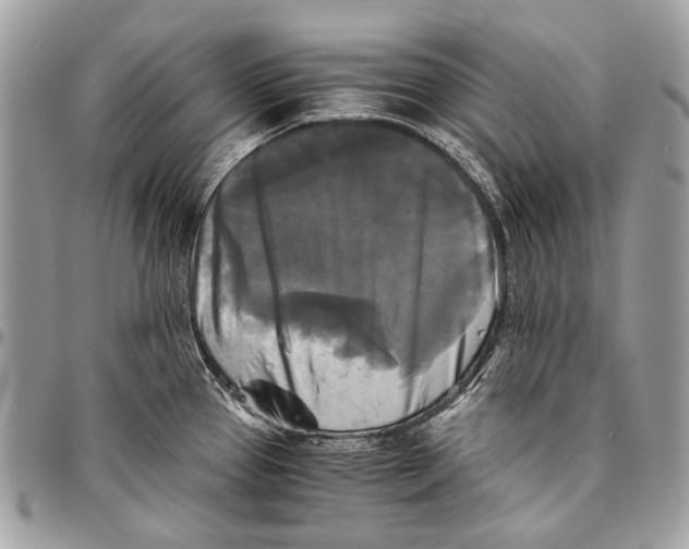 X0000096401337200802141509