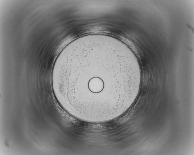 X0000096401338200802141509