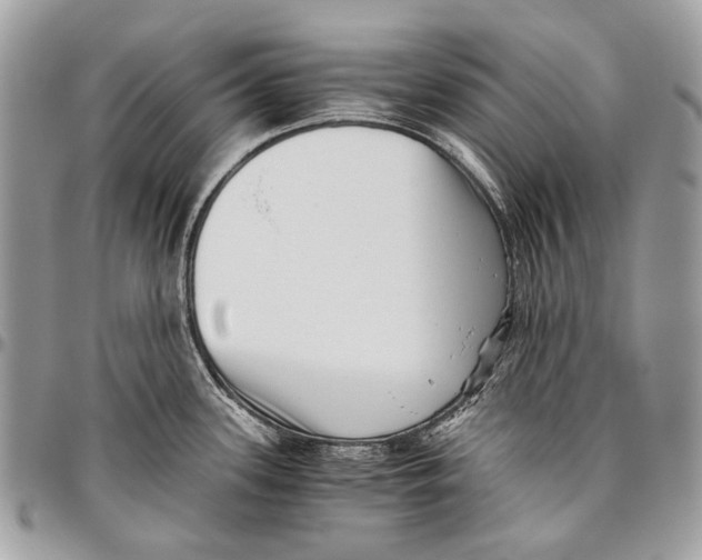 X0000096401339200802141509