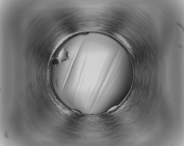 X0000096401340200802141509