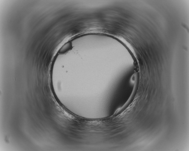 X0000096401341200802141509