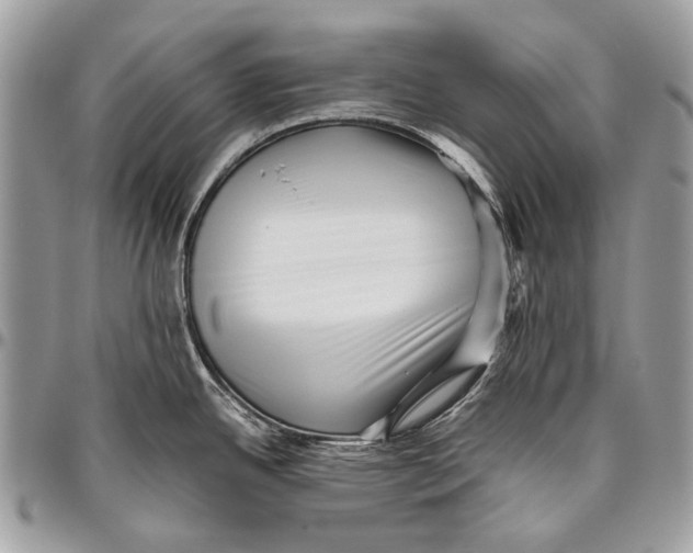 X0000096401342200802141510