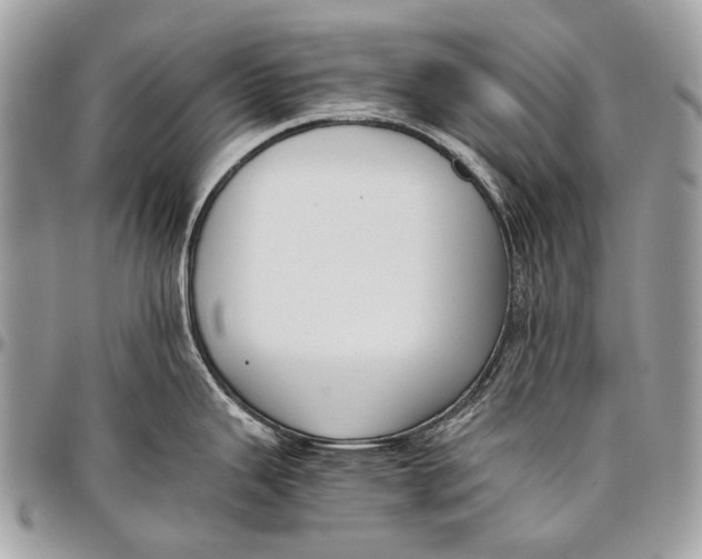 X0000096401343200802141510