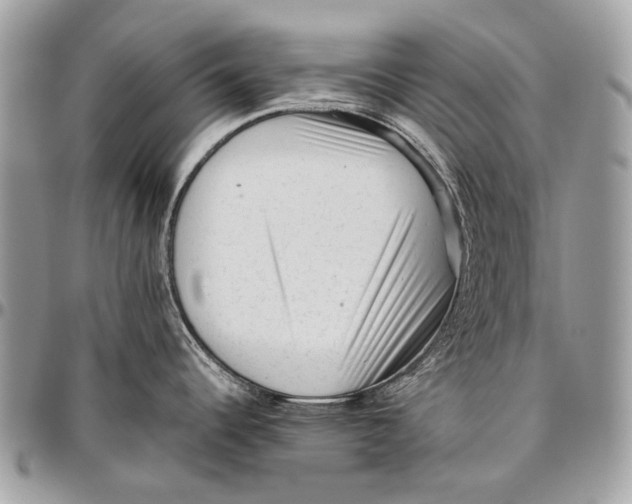 X0000096401344200802141510