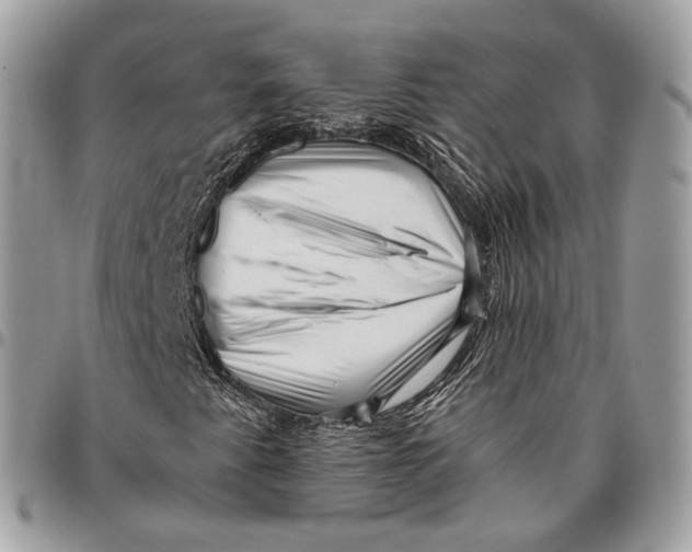 X0000096401345200802141509