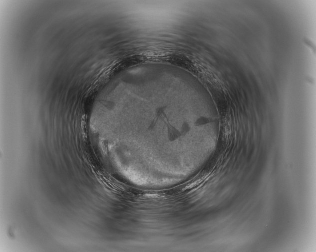 X0000096401346200802141509