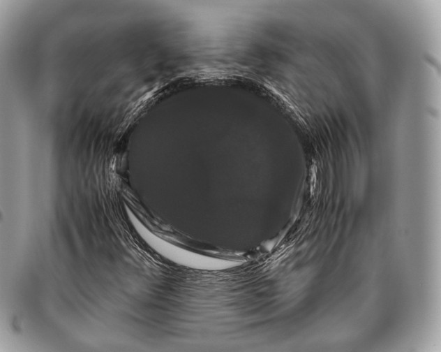 X0000096401348200802141509