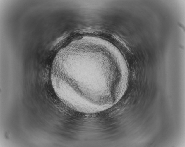 X0000096401350200802141509