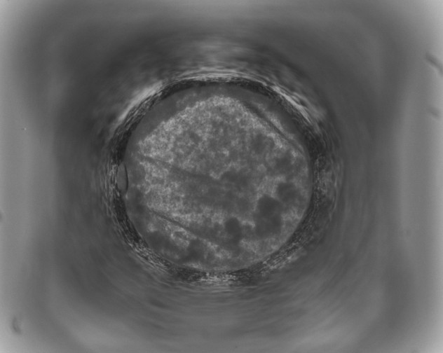 X0000096401351200802141509