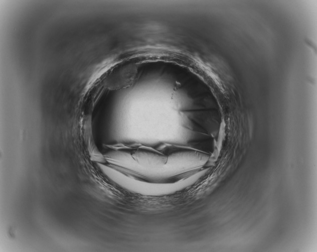 X0000096401352200802141509